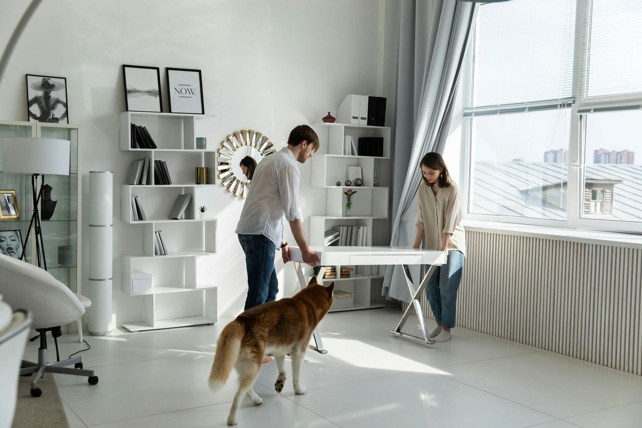 Moving home with pets. By Mario Vans removal services