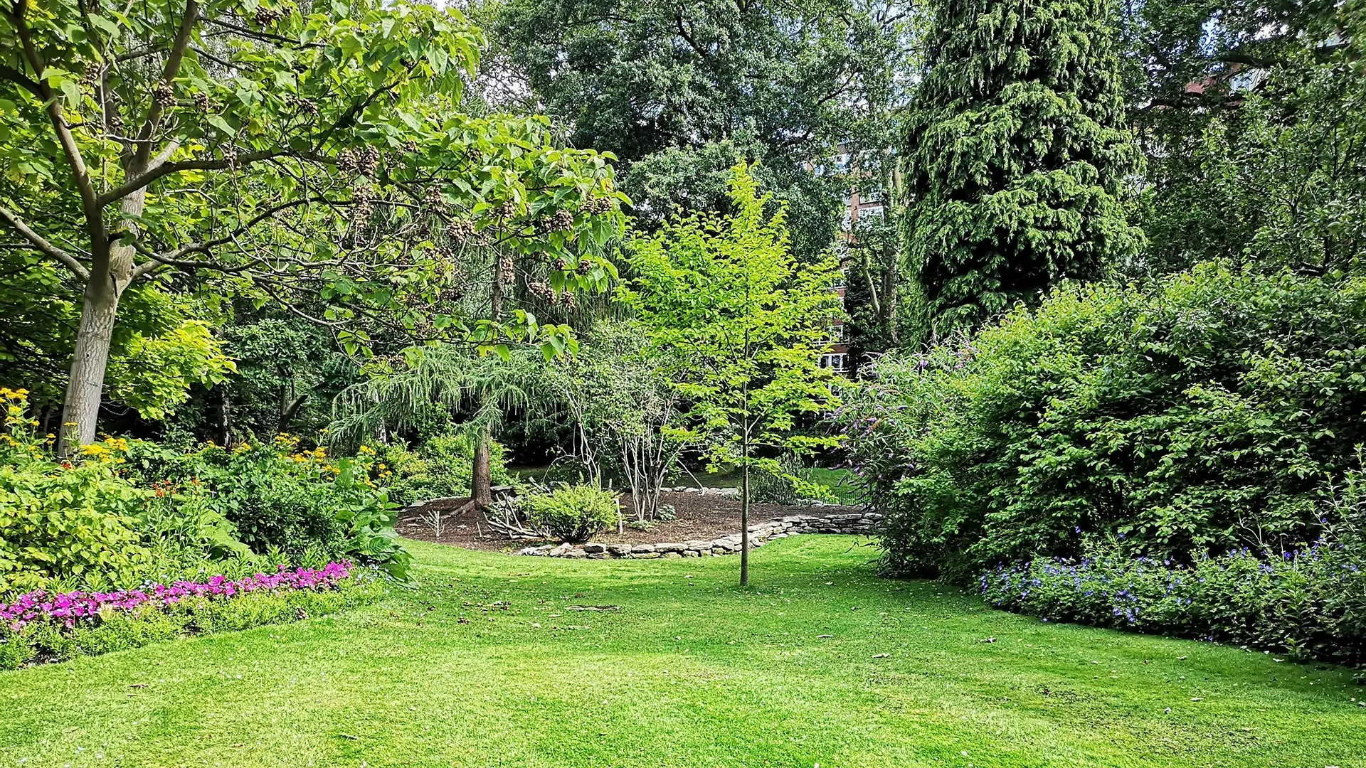 tree-large-plant-transportation-service-milton-keynes-bedford
