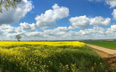 Moving Outside London: Milton Keynes, Bedford and Northampton – Three Towns Where Your Quality of Life Will Improve